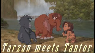 Tarzan meets Tantor  Tarzan HD [upl. by Naesar]