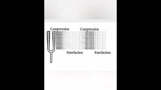 Chapter Sound Topic Compressions and Rarefactions [upl. by Ahsei354]