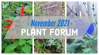 November 2021 Plant Forum [upl. by Kyla]