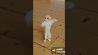 🤣🤣🤣🤣🐱cat dancefunny 🤣🤣🤣 [upl. by Relyhcs]