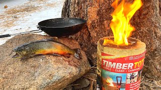 Brook Trout Catch amp Cook on a Log Stove Ice Fishing [upl. by Kelson]