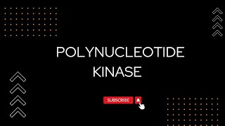 Polynucleotide Kinase csirnet bsc enzymes neet [upl. by Epilef258]