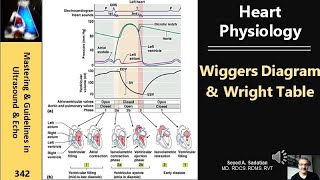 Heart Physiology Wiggers Diagram amp Wright Table [upl. by Yelrahs]