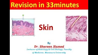 5 skin revision 2021 [upl. by Giess967]