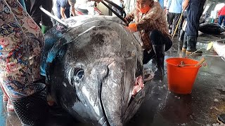 990 Lbs SuperHuge Bluefin Tuna Perfectly and Precisely Cut [upl. by Gregor]