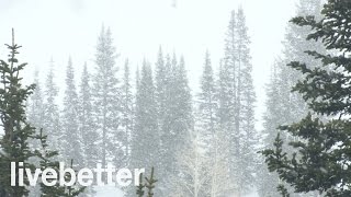 Sonidos Relajantes de Nevada para Dormir  Ruidos de la Naturaleza con Viento Calmante que da Sueño [upl. by Aridatha934]