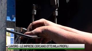 Lavoro Le imprese cercano otto mila profili [upl. by Neemsay]