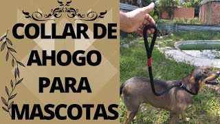 lazo para perros collar de ahogo para perros mascotas talabarteria [upl. by Georgette603]