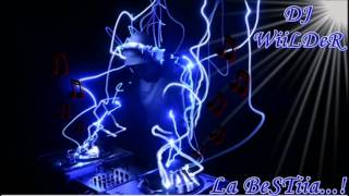 Luchare Por Tu Amor Rmx Cumbia DJ Wilder PoooLVooRa [upl. by Dowdell989]