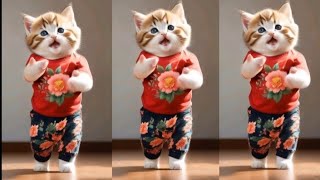 😻💃Cute cat funny dancing videodancingcat funnypet catvideos furrycornerz [upl. by Laforge352]