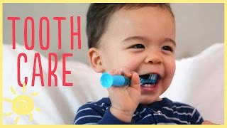 TIPS  TODDLER TOOTH CARE w pediatric dentist [upl. by Tersina931]