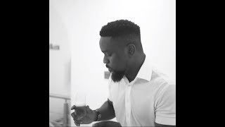 Sarkodie  Anadwo ft King Promise Video Lyrics [upl. by Eilitan]