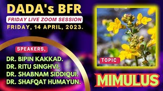 MIMULUS  Bach Flower Remedy  DADAs BFR  Friday Live Zoom Session  14 April 2023 [upl. by Etireuqram]