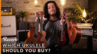 Which Ukulele Should You Buy  Reverb Buying Guide [upl. by Ettennahs]