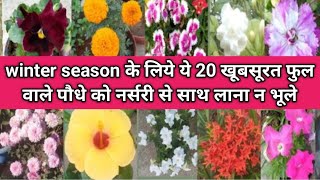 winter के लिये 20खूबसूरत फुल वाले पौधे को नर्सरी से लाकर गमले मे लगयेwinter flower plant grow in pot [upl. by Llain]