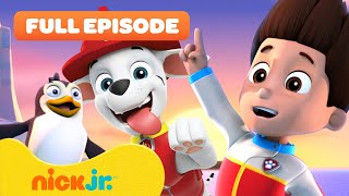 PAW Patrol Pups Save the Penguins 🐧 FULL EPISODE  Nick Jr [upl. by Arun]