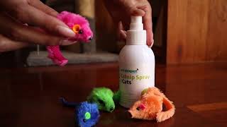 How to Use Catnip Spray for Cats amp Kittens  Watch a Cats Reaction [upl. by Araet]