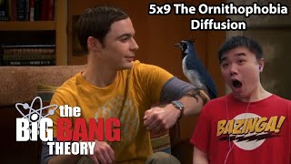 The Big Bang Theory 5x9 The Ornithophobia Diffusion Reaction [upl. by Xyla]