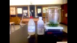 Extraction of Plant Leaf Pigment [upl. by Fielding]