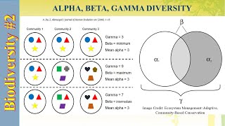 116  Biodiversity 2 Alpha Diversity Beta Diversity Gamma Diversity [upl. by Einhpets]