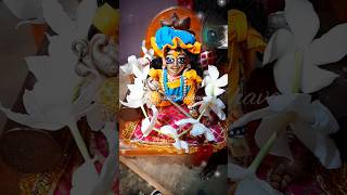 shortsfeed laddugopal viralshorts shorts youtubeshorts harekrishna please likesharesubscribe❤️ [upl. by Ahsikyw220]