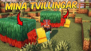 MINA TVILLINGSNIFFERS PÅ BEDROCK SMP  MINECRAFT LETS PLAY  S8E63 [upl. by Drofnats105]