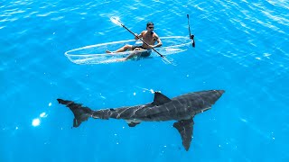 Exploring For Great White Sharks In Transparent Kayak [upl. by Tedi]