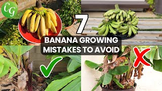 How to Grow a Banana Plant Tips Mistakes and Advice for Gardening [upl. by Foulk]