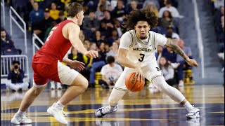 Tre Donaldson takes over with 16 points to power Michigan Wolverines past Miami Ohio Redhawks [upl. by Norga347]