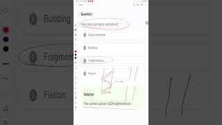 How does spirogyra reproduce [upl. by Olive438]