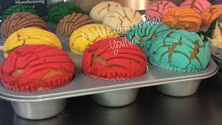 ManteConchas Pan Mexicano Nueva Tendencia 2018  recetas 1 kilo 25 piezas conchasencapasillo [upl. by Linoel]