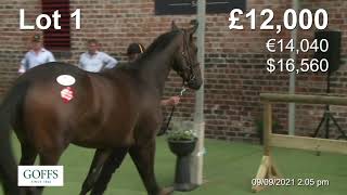 Yorton Sale 2021 by Goffs UK with Nick Luck and Arnaud Poirier  Full Live [upl. by Ilagam350]