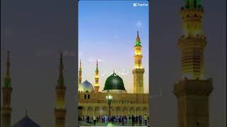 O Sonia ghalyah Wich rehmat rab di Mera aqa  naat shareef lyrics sidraofficial [upl. by Sanders108]