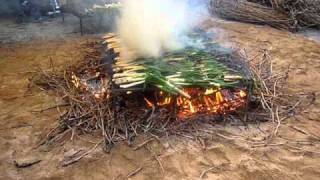 Calçots ardiendo en el infierno [upl. by Eirotal630]