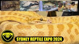 Sydney Reptile Expo 2024 [upl. by Lovell]