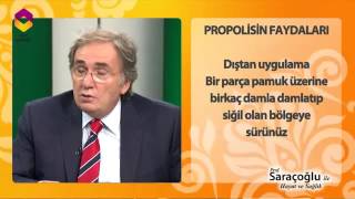 Propolisin Faydaları  Prof Dr İbrahim Adnan SARAÇOĞLU [upl. by Attwood500]