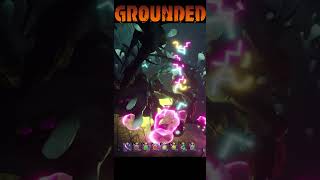 Its OVER Wait grounded groundedgameplay groundedgame theactualseth [upl. by Ahsinad]