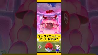 2km歩いてウールーゲット！マックス粒子の注意点を解説！ポケモンgo マックスポケモンダイマックスマックス粒子パワースポット ウールーpokemongo 新道ひかり [upl. by Trinity428]