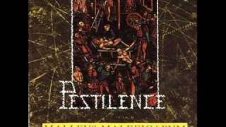 PESTILENCE  Chemo Therapy [upl. by Alcine501]