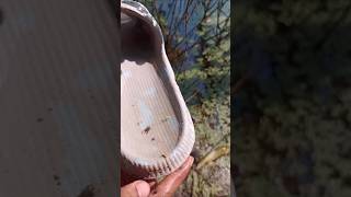 Techniques for cleaning muddy water inside the forest funny comedymovies trending fannycomedy [upl. by Isewk]