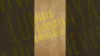 Sonnaya lunnaya isa song songlyricssonnayasong [upl. by Aanas]