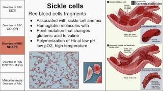 Red Blood Cell Morphological Abnormalities [upl. by Legnaleugim]