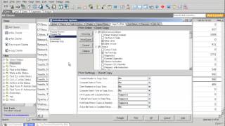 Lacerte Professional Tax Software Program Options and Settings [upl. by Adnam391]