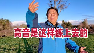 唱歌高音能不能练上去？怎么练上去？刘老师手把手教你唱高音 [upl. by Esorylime]