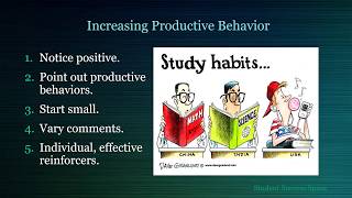 Increasing Productive Behavior Motivation [upl. by Finnigan512]