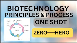 BIOTECHNOLOGY PRINCIPLES AND PROCESS CLASS12 ONE SHOT [upl. by Ketchan890]