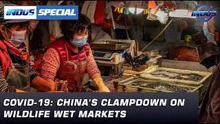 COVID19 Chinas clampdown on wildlife wet markets  Indus Special with Ejaz Haider  Indus News [upl. by Adnoval634]