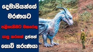 quotDragonheart Vengeance” සිංහල Movie Review  Ending Explained Sinhala  Sinhala Movie Review [upl. by Nylarac]