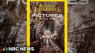 National Geographic releases its annual Pictures of the Year issue [upl. by Mima]