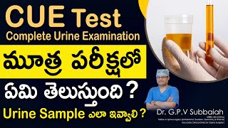 CUE or Urinanalysis  What we understand from urine test  I Urine test I Health I Dr GPV Suabbaiah [upl. by Iredale806]